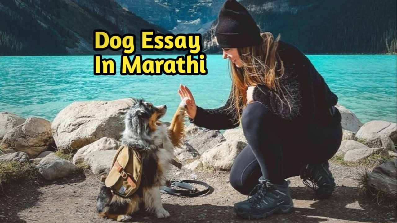 Essay On Dog In Marathi